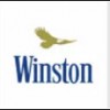 Winston (Винстон)